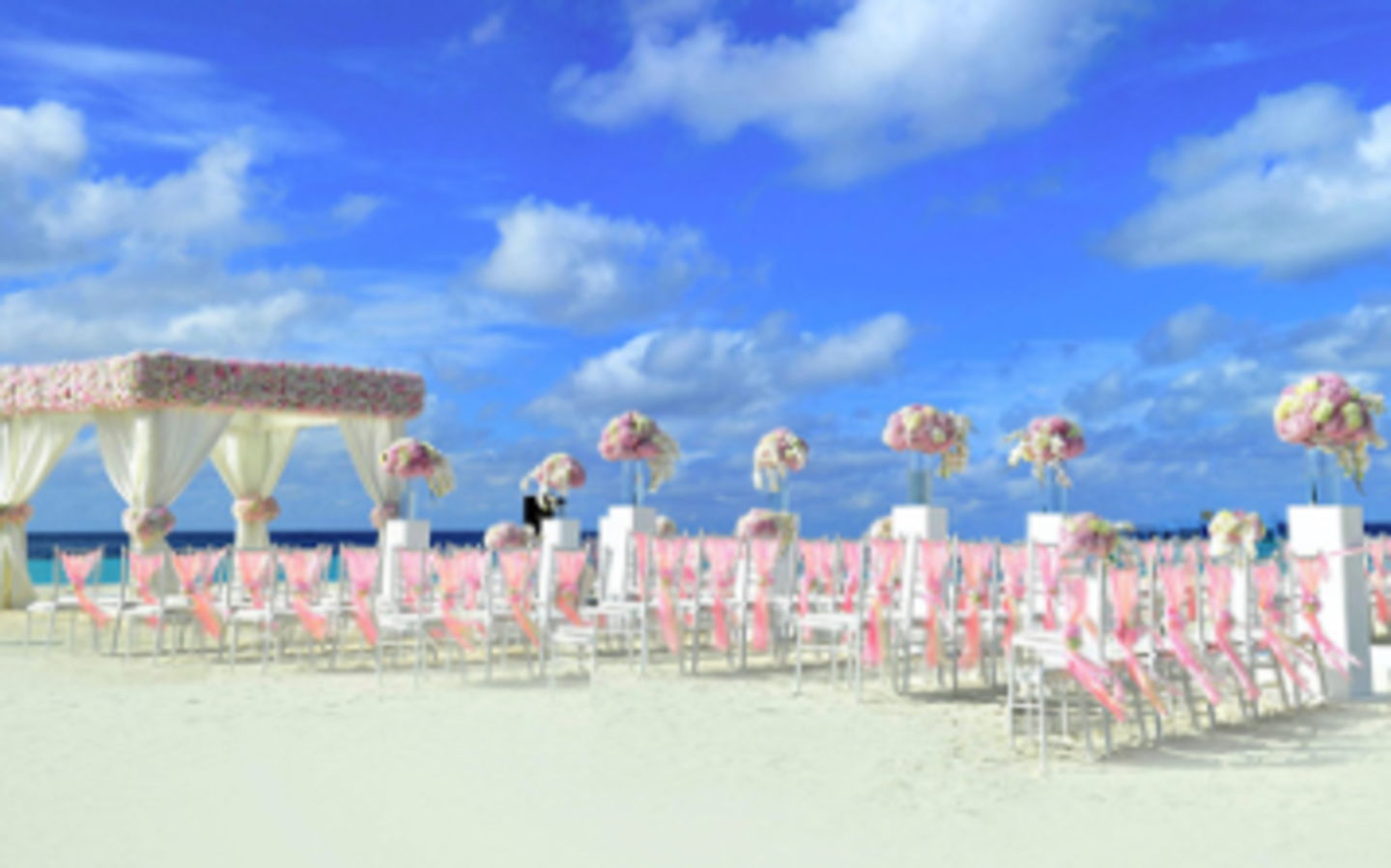 HiDubai-business-zia-events-management-photography-b2b-services-event-management-trade-centre-1-dubai