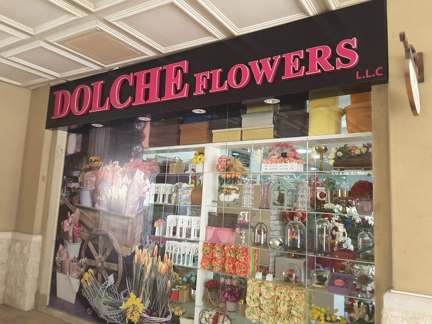 HiDubai-business-dolche-flowers-animals-pets-plants-plants-gardening-stores-mirdif-dubai-2
