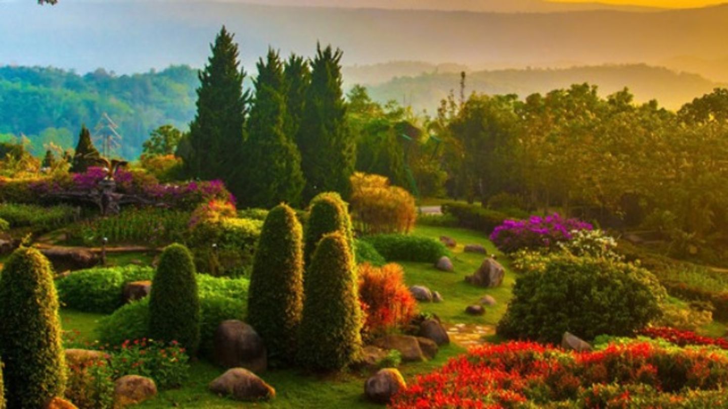 HiDubai-business-aswat-almadinah-landscaping-works-construction-heavy-industries-landscaping-al-fahidi-al-souq-al-kabeer-dubai