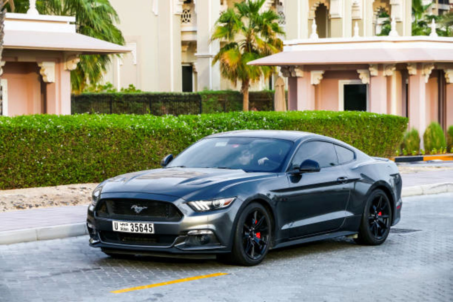 HiDubai-business-al-wajaha-rent-car-transport-vehicle-services-car-rental-services-al-garhoud-dubai
