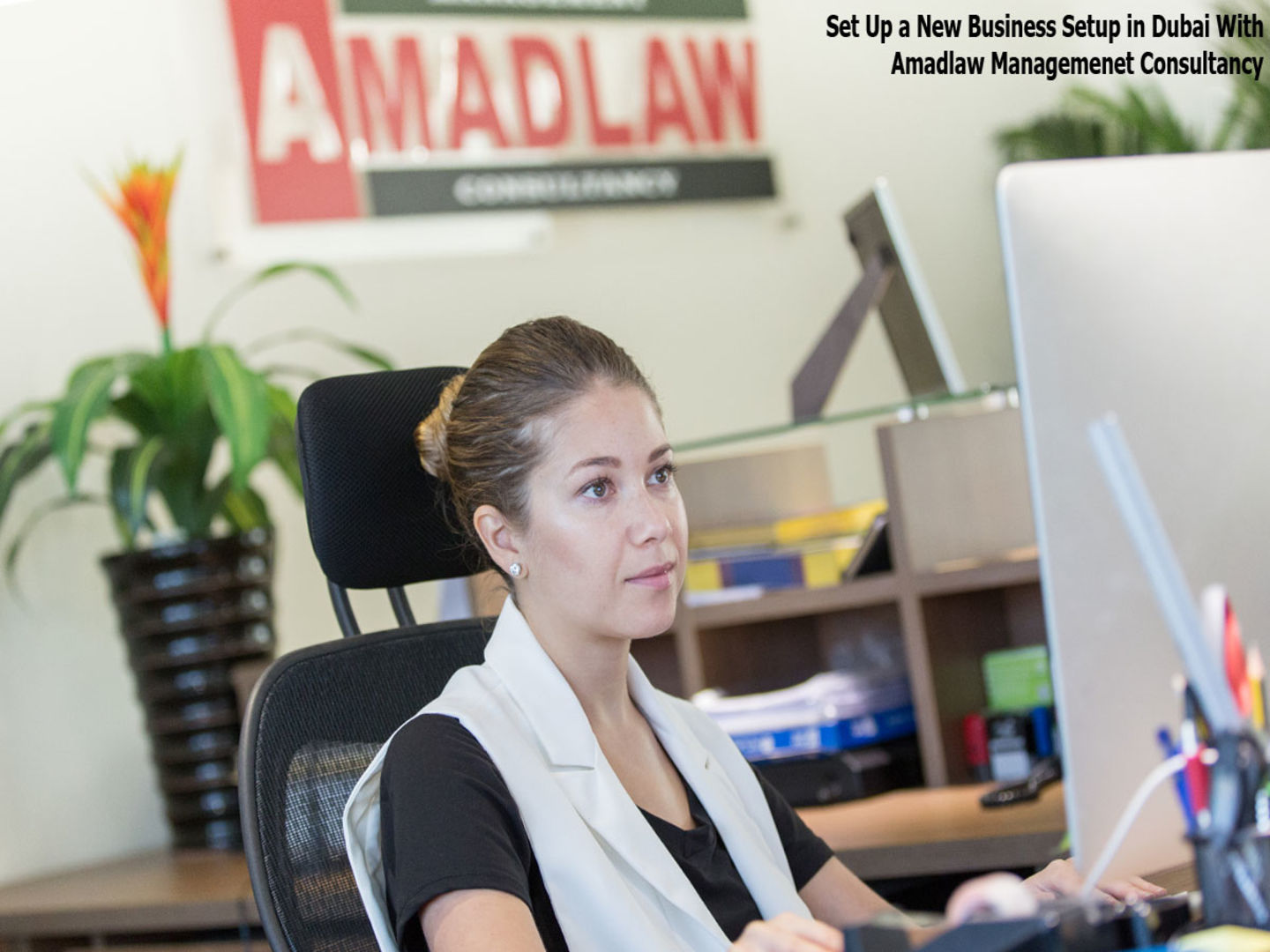 HiDubai-business-amadlaw-management-consultancy-b2b-services-business-consultation-services-al-wasl-dubai-2