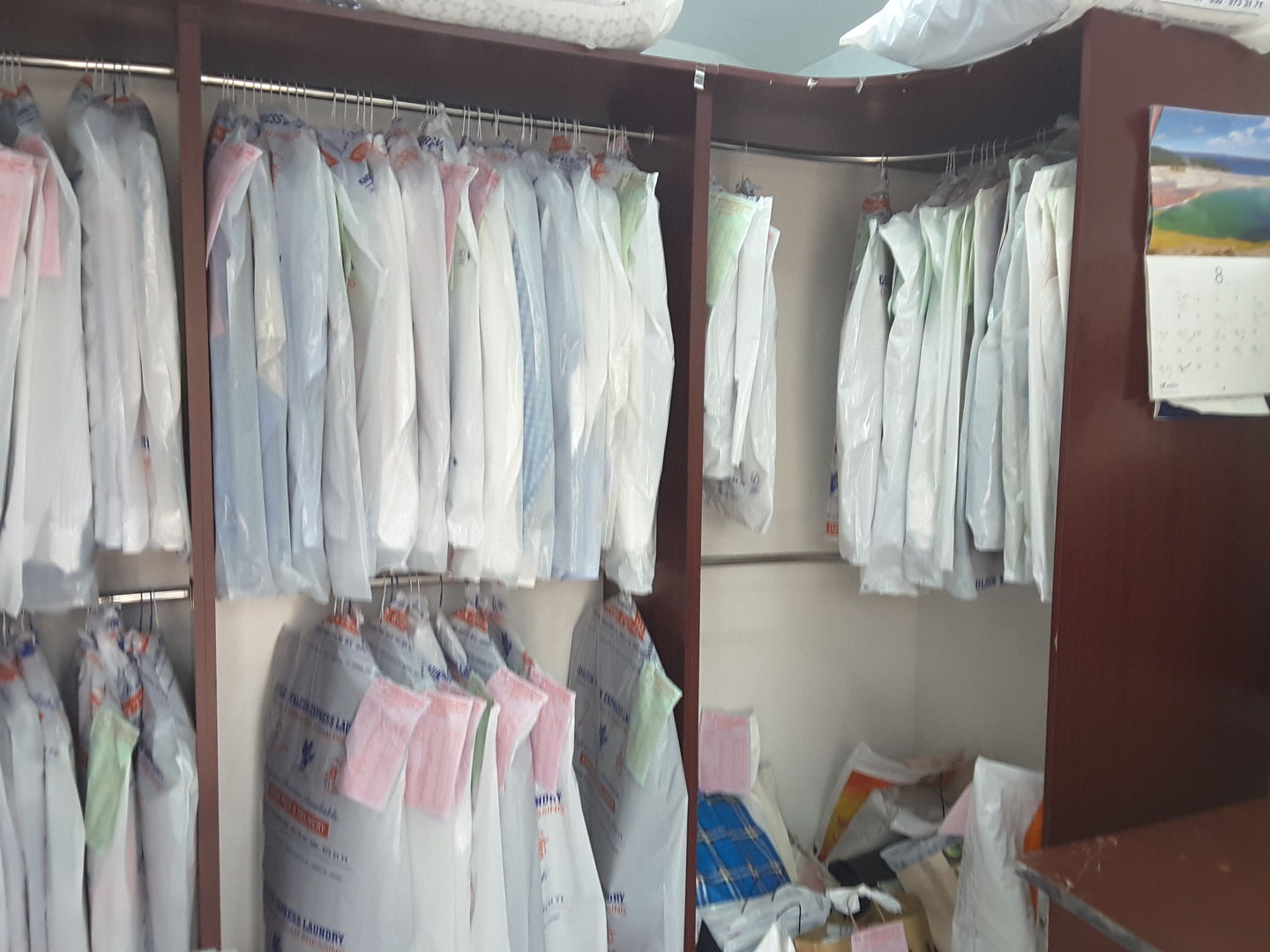 Golden Falcon Laundry(Laundry) in Dubai City (Al Sufouh 2