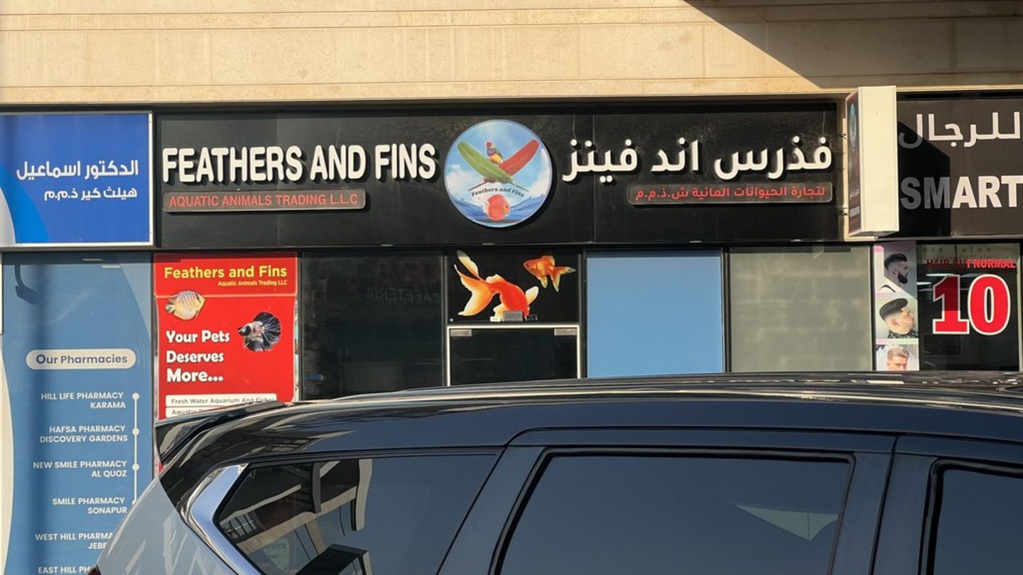 HiDubai-business-feathers-and-fins-aquatic-animals-trading-animals-pets-plants-animal-shelters-adoption-centres-al-karama-dubai