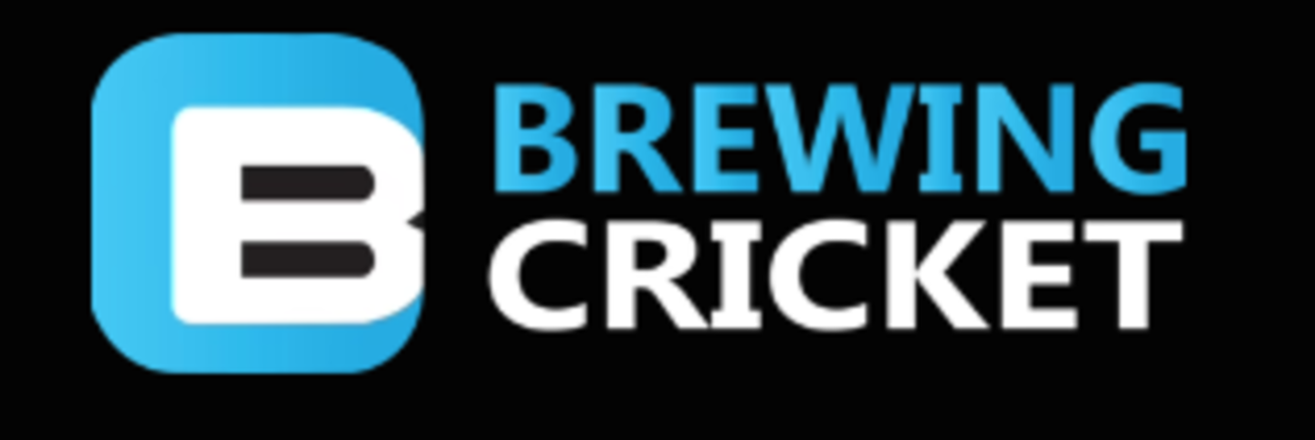 HiDubai-business-brewing-cricket-sports-trading-shopping-sporting-goods-equipment-al-karama-dubai