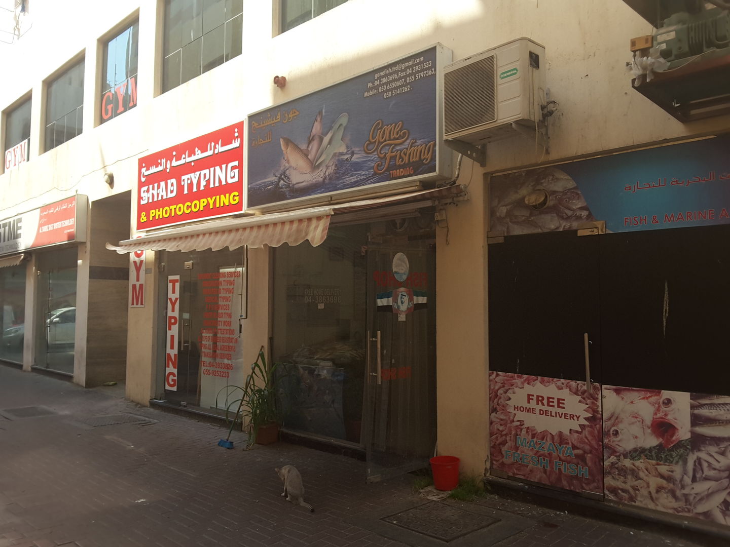 HiDubai-business-gone-fishing-trading-shopping-supermarkets-hypermarkets-grocery-stores-al-raffa-al-raffa-dubai-2