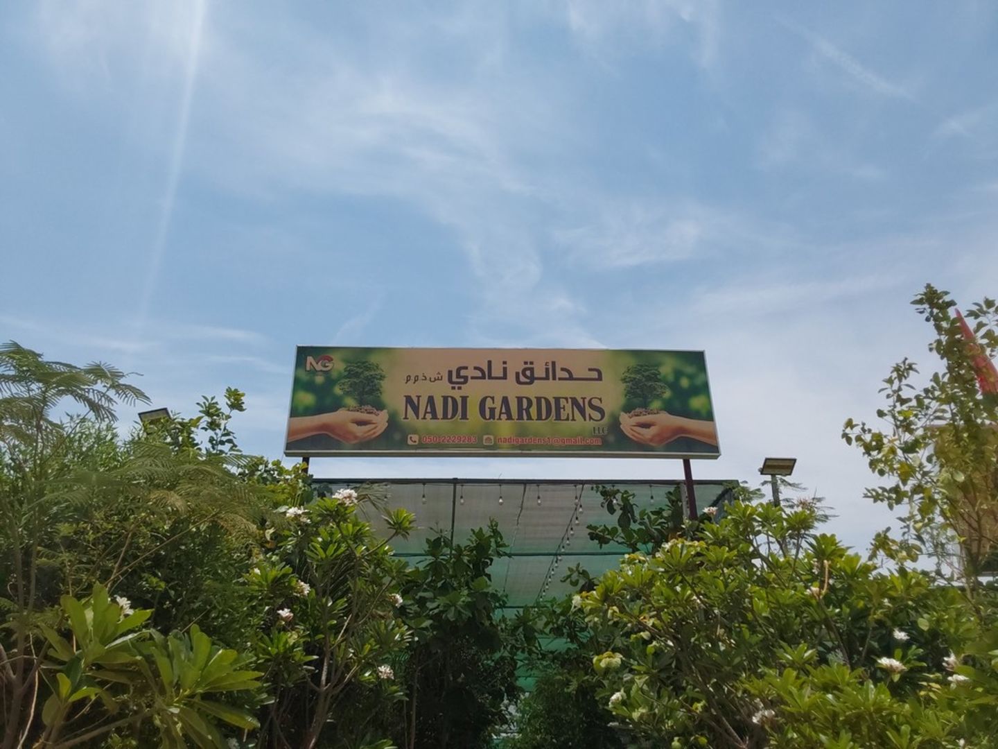 HiDubai-business-nadi-gardens-animals-pets-plants-plants-gardening-stores-warsan-3-dubai