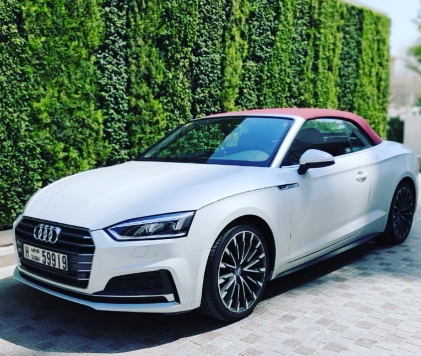 HiDubai-business-101-speed-rent-a-car-transport-vehicle-services-car-rental-services-al-mamzar-dubai