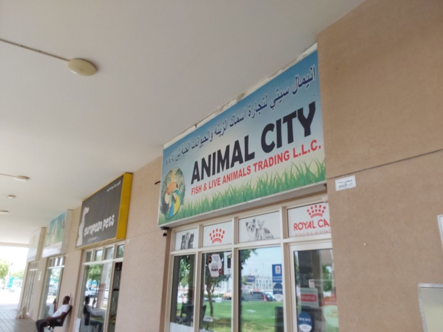 HiDubai-business-animal-city-fish-live-animals-trading-animals-pets-plants-pet-food-accessories-stores-warsan-3-dubai
