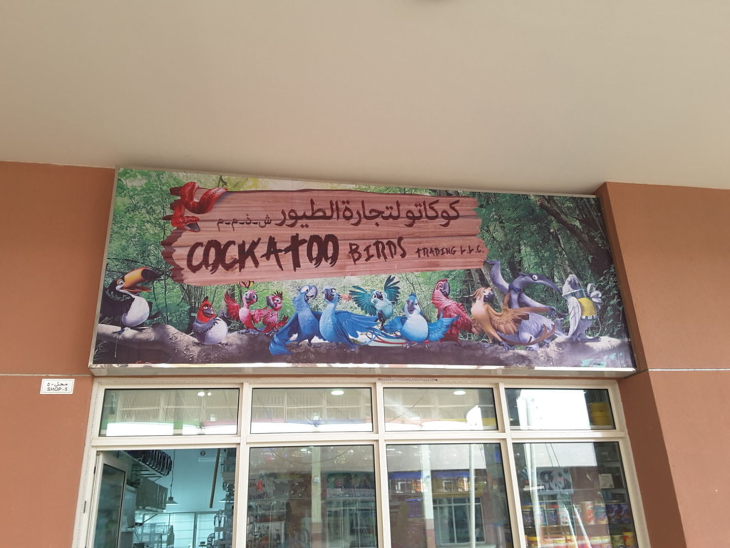 Cockatoo Bird Trading(Animal Breeding Centres) in Warsan 3, Dubai HiDubai