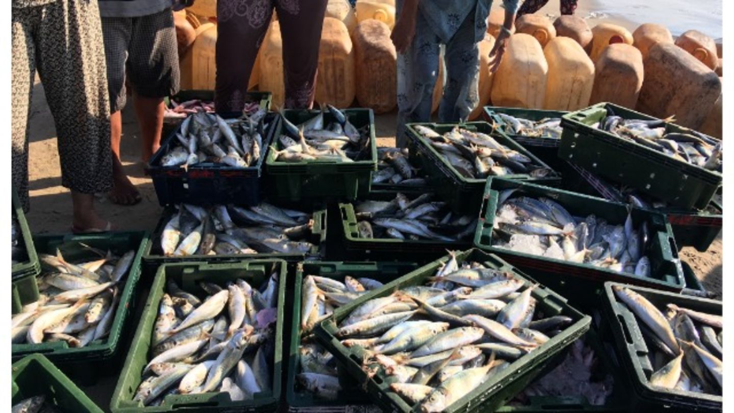 HiDubai-business-emerald-foodstuff-trading-finance-legal-payment-services-corniche-deira-dubai