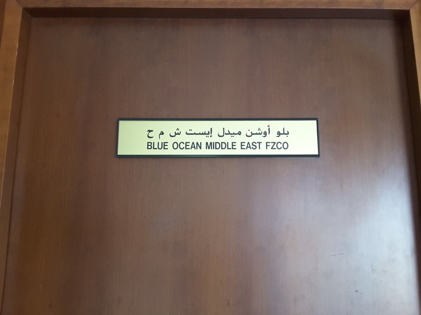 HiDubai-business-blue-ocean-middle-east-fzco-b2b-services-distributors-wholesalers-jebel-ali-industrial-3-dubai-2