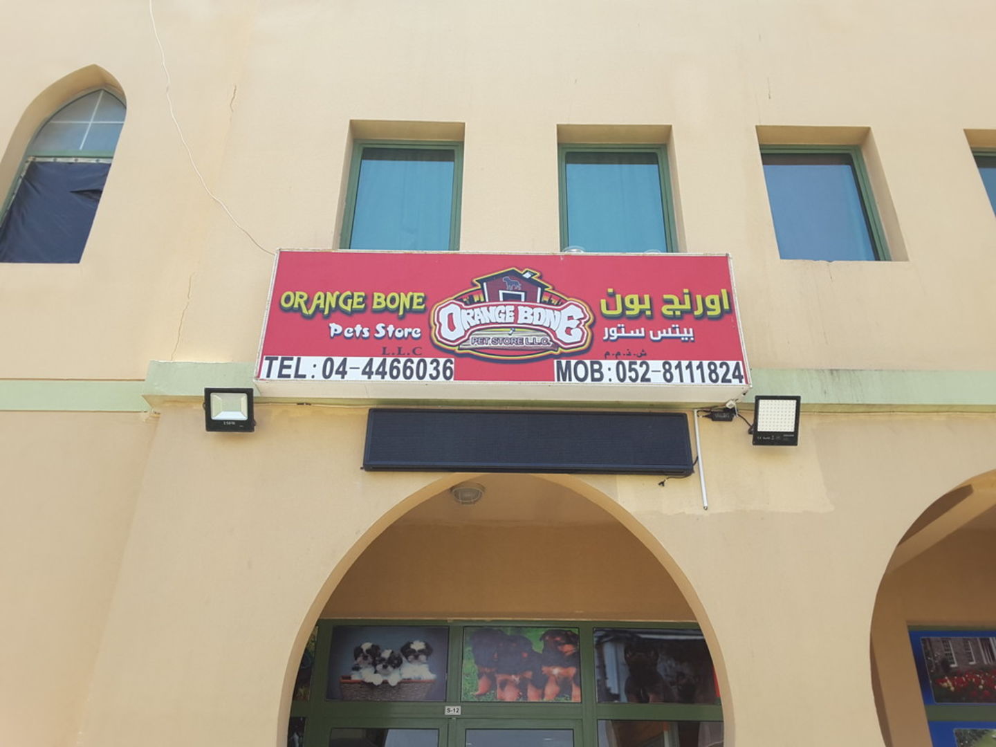 Orange Bone Pets Store(Pet Food & Accessories Stores) in International