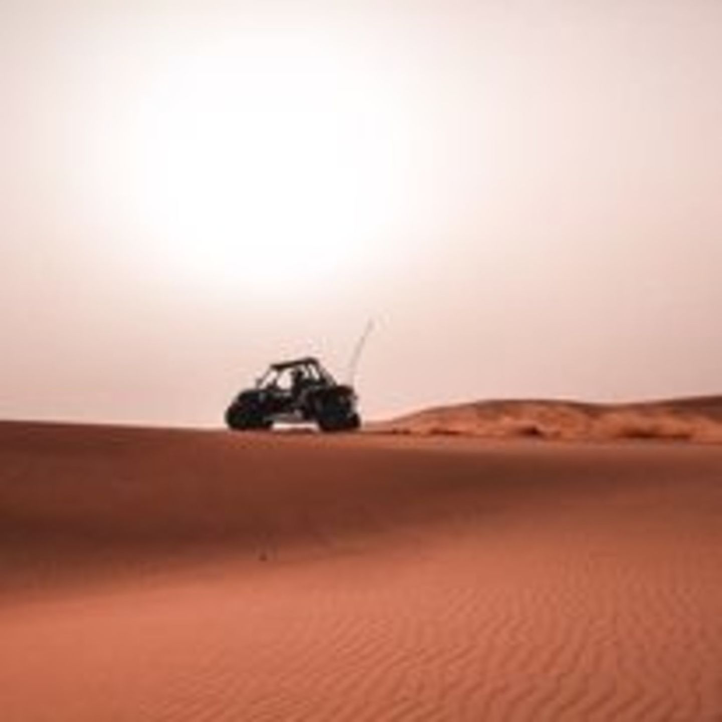 HiDubai-business-big-red-adventure-in-bound-tour-operator-hotels-tourism-local-tours-activities-jumeirah-beach-residence-marsa-dubai-dubai-2