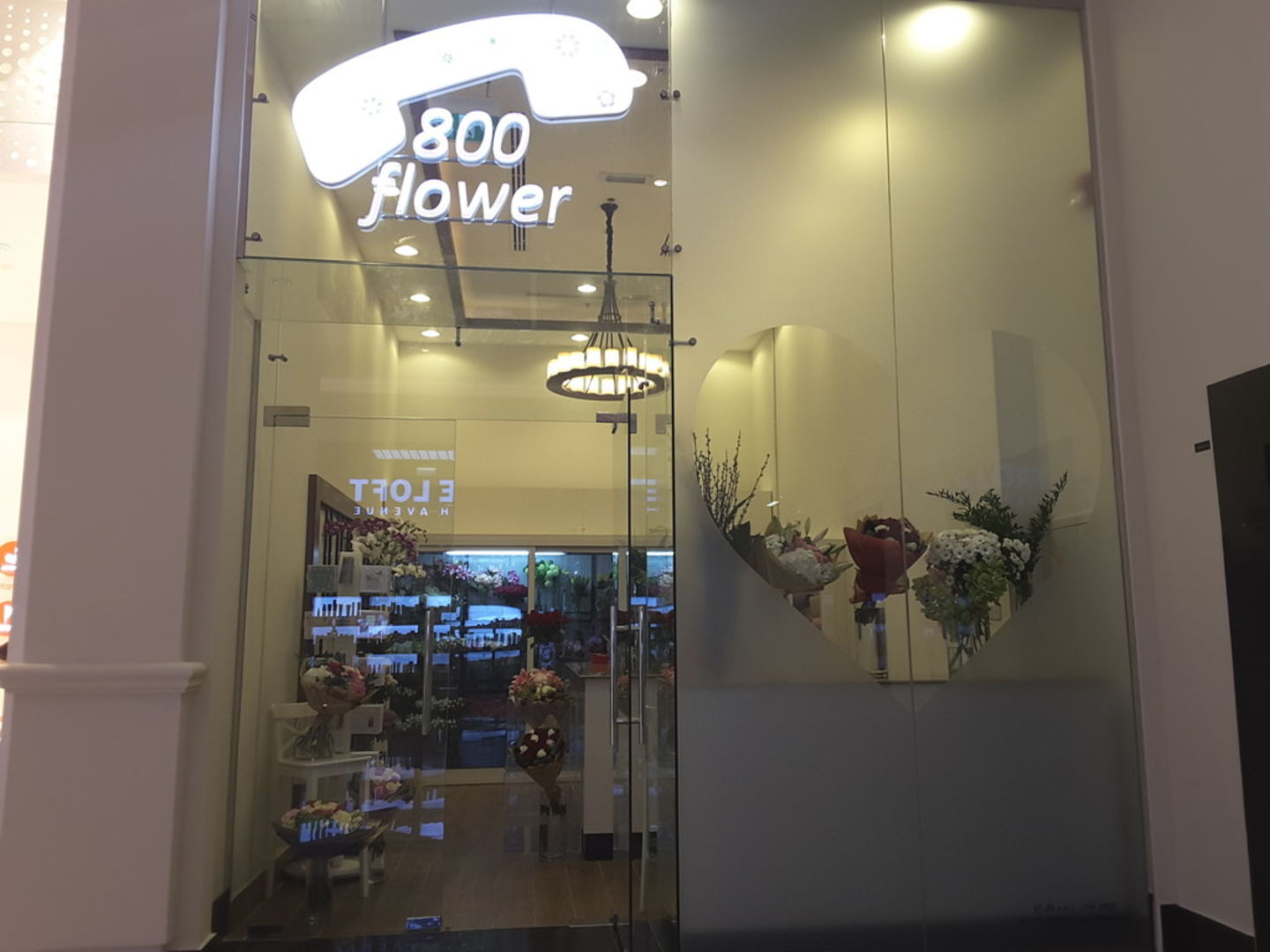 HiDubai-business-800-flower-animals-pets-plants-plants-gardening-stores-the-palm-jumeirah-nakhlat-jumeirah-dubai-2