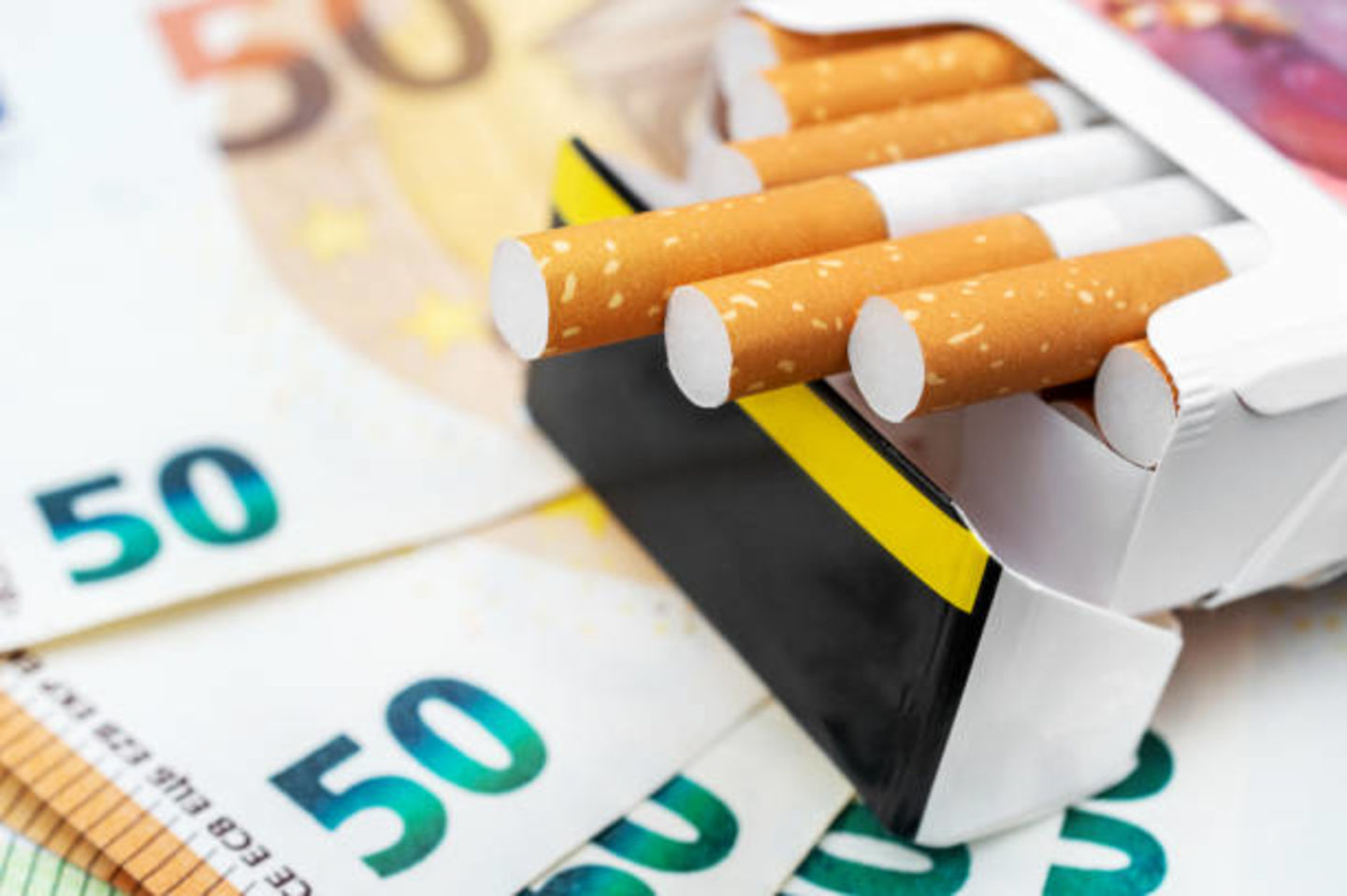 HiDubai-business-la-casa-del-habano-shopping-smoking-centers-al-wasl-dubai