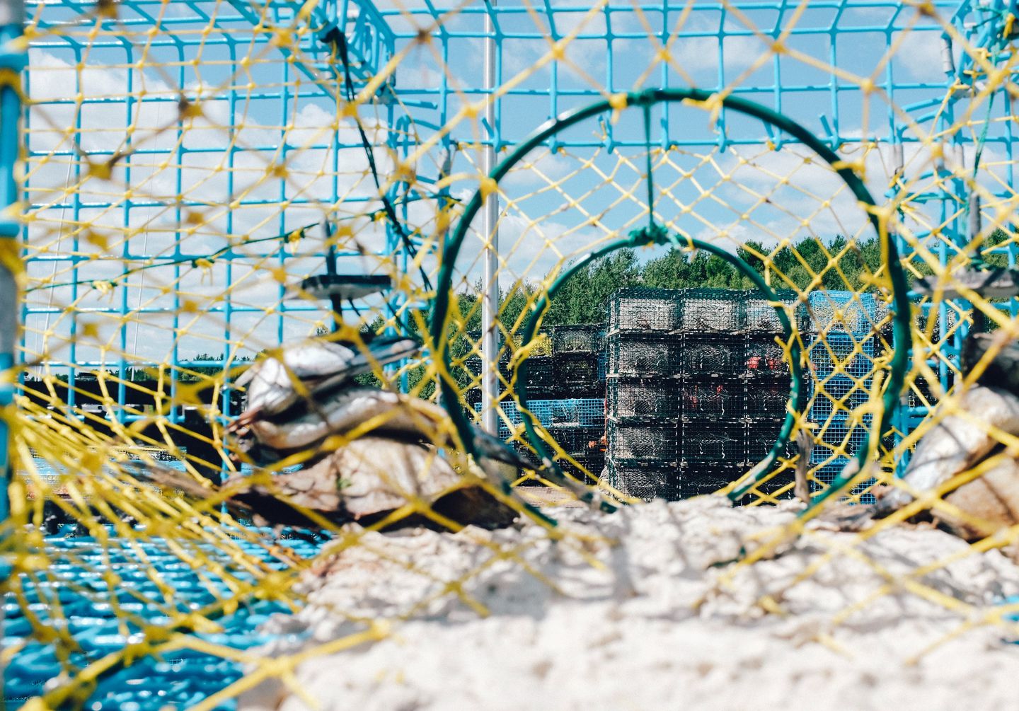 HiDubai-business-al-asayel-fishing-cages-supply-b2b-services-manufacturing-warsan-3-dubai