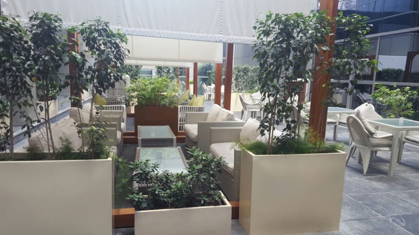 Azure Cafe, (Coffee Shops) in Dubai Marina (Marsa Dubai), Dubai HiDubai