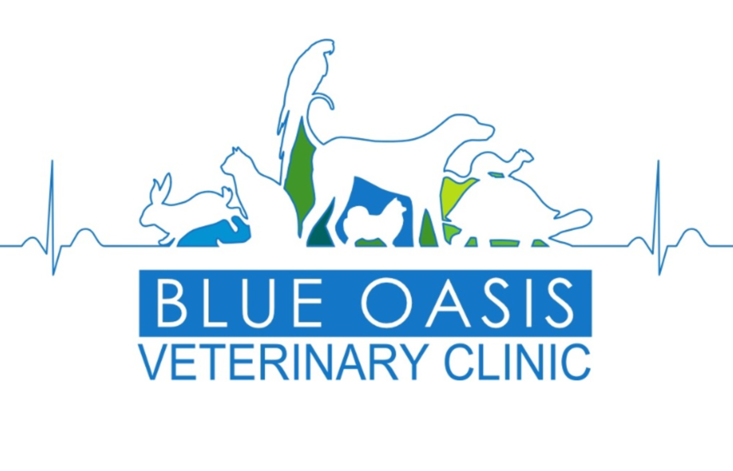 HiDubai-business-blue-oasis-veterinary-clinic-animals-pets-plants-pet-clinics-vets-al-yufrah-2-dubai