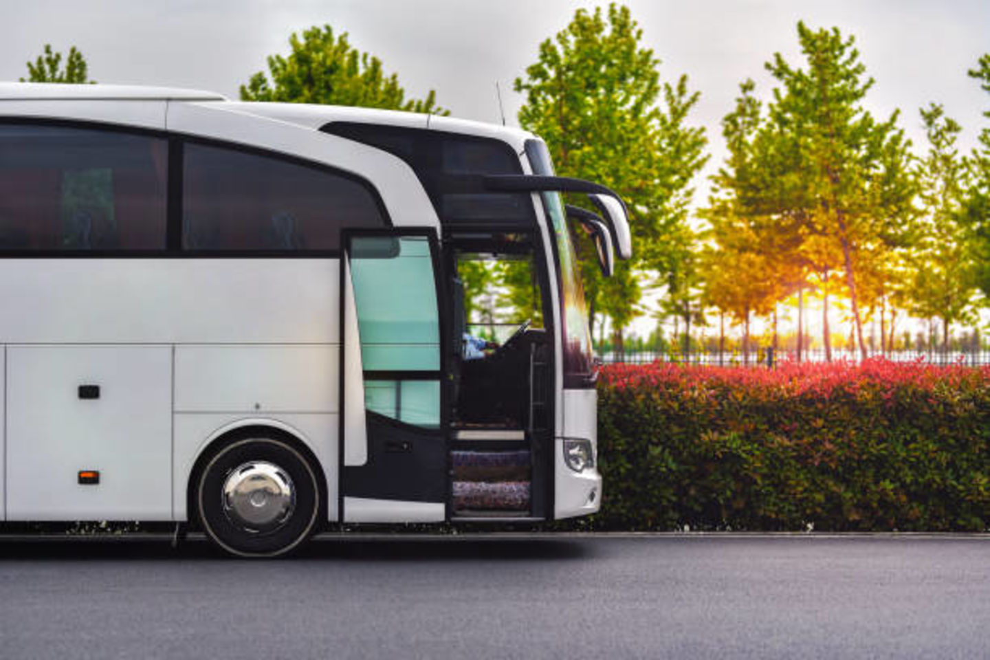 HiDubai-business-busco-passenger-transport-hotels-tourism-car-rental-services-umm-ramool-dubai