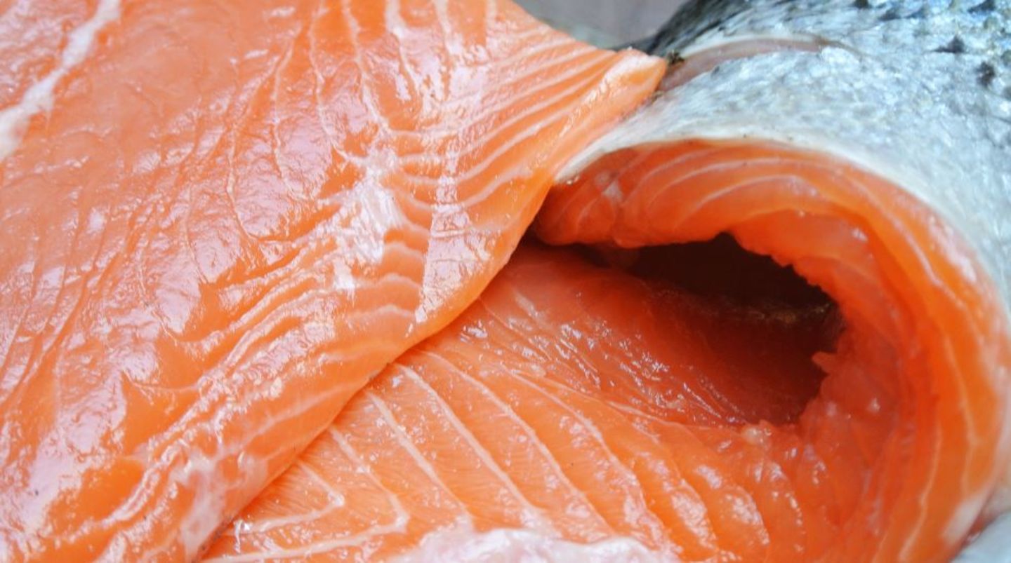 HiDubai-business-al-qabab-fish-trading-b2b-services-food-stuff-trading-al-baraha-dubai