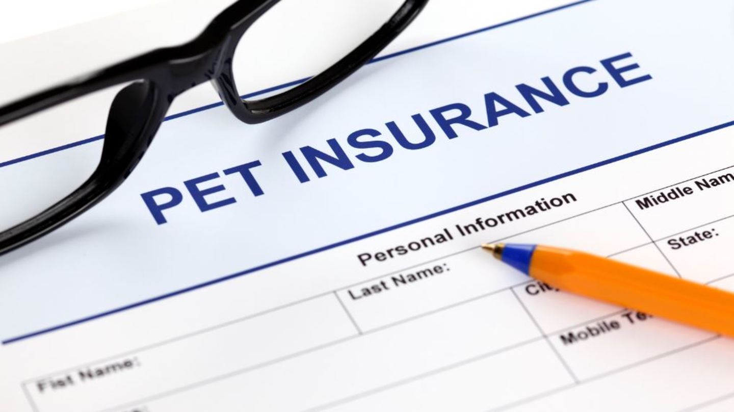 HiDubai-business-oslo-pet-insurance-finance-legal-insurance-warranty-dubai-silicon-oasis-nadd-hessa-dubai