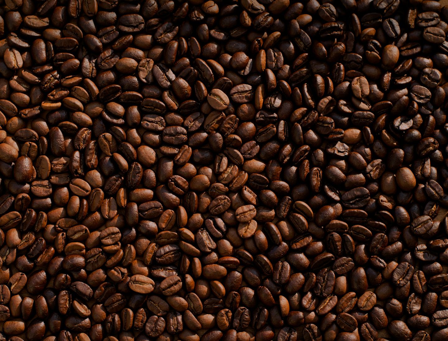 HiDubai-business-earth-roastery-b2b-services-distributors-wholesalers-al-quoz-3-dubai