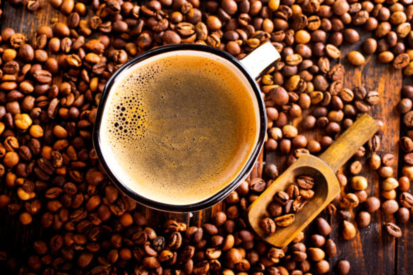 HiDubai-business-wadi-al-raihan-cafe-shop-food-beverage-coffee-shops-ayal-nasir-dubai