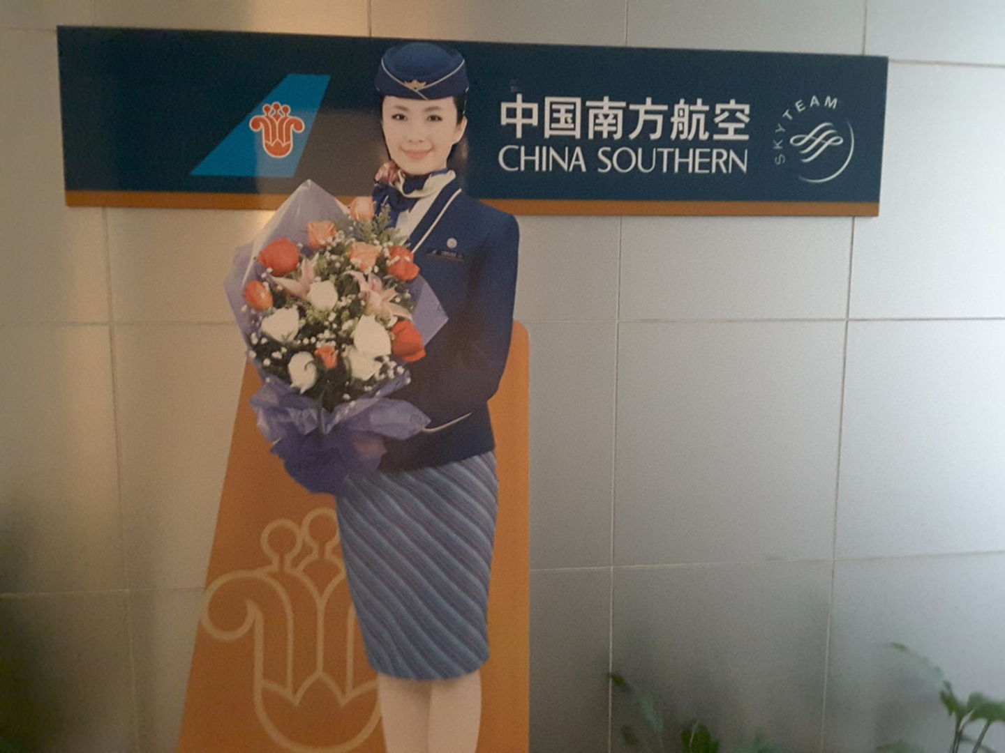 HiDubai-business-china-southern-airline-cargo-department-hotels-tourism-airlines-service-providers-dubai-airport-free-zone-dubai-international-airport-dubai-2