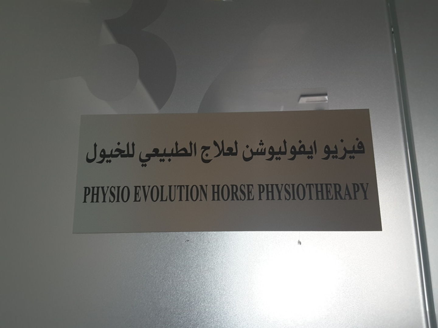HiDubai-business-physio-evolution-horse-physiotherapy-animals-pets-plants-animal-training-centres-business-bay-dubai-2