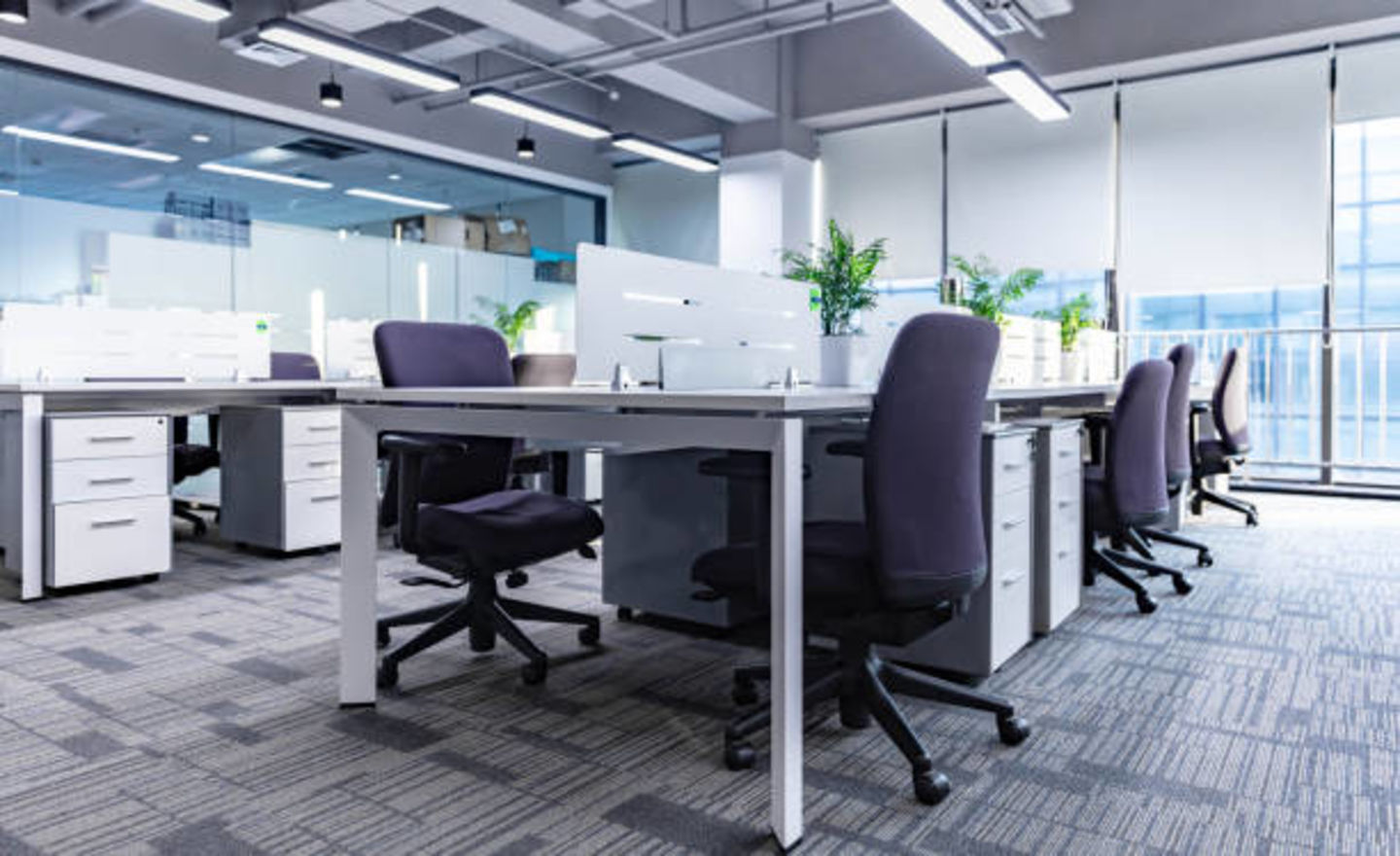 HiDubai-business-neom-tax-accounting-and-management-finance-legal-accounting-services-sheikh-zayed-road-1-trade-centre-2-dubai