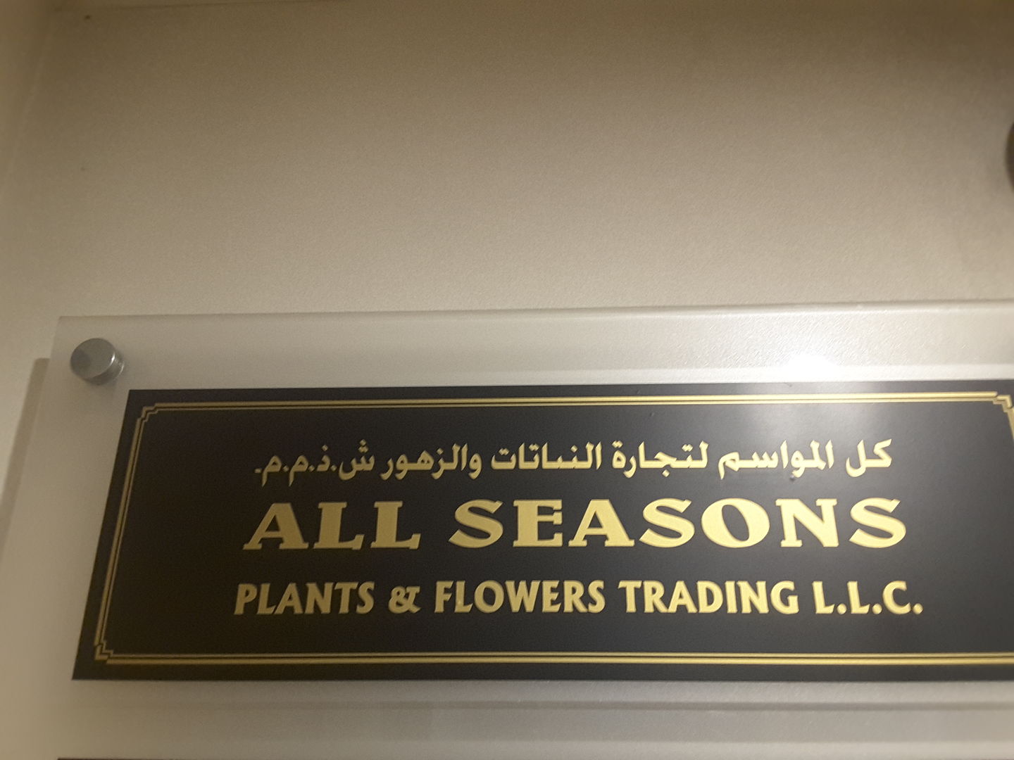 HiDubai-business-all-seasons-plants-flowers-shopping-garden-outdoor-riggat-al-buteen-dubai-2