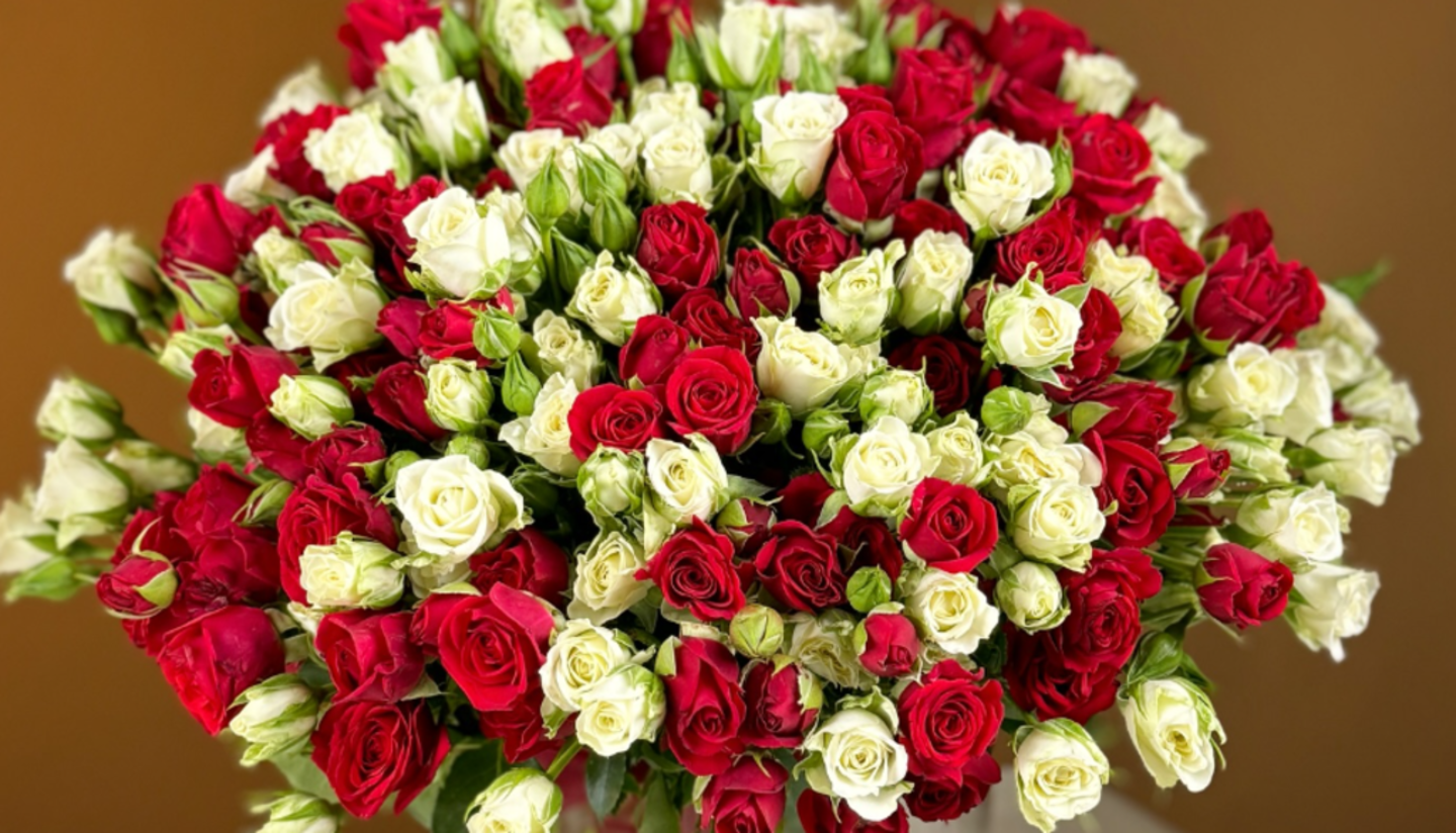 HiDubai-business-empire-of-flowers-animals-pets-plants-plants-gardening-stores-al-quoz-industrial-3-dubai