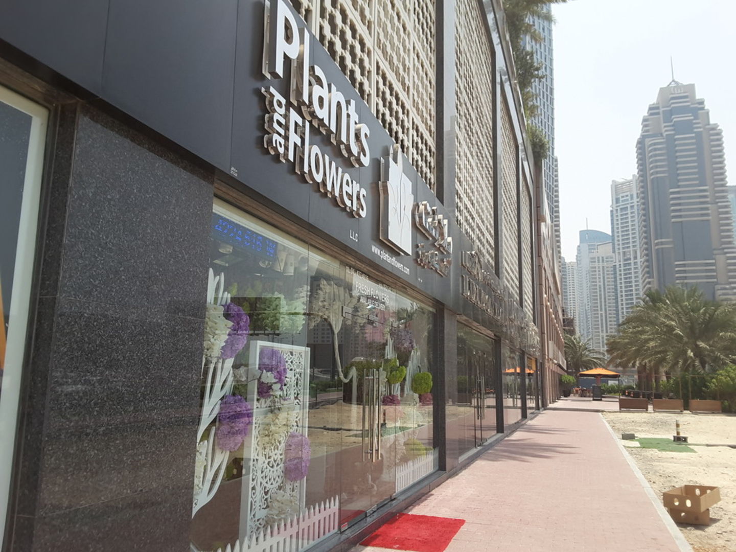 HiDubai-business-plants-and-flowers-animals-pets-plants-plants-gardening-stores-dubai-marina-marsa-dubai-dubai-2