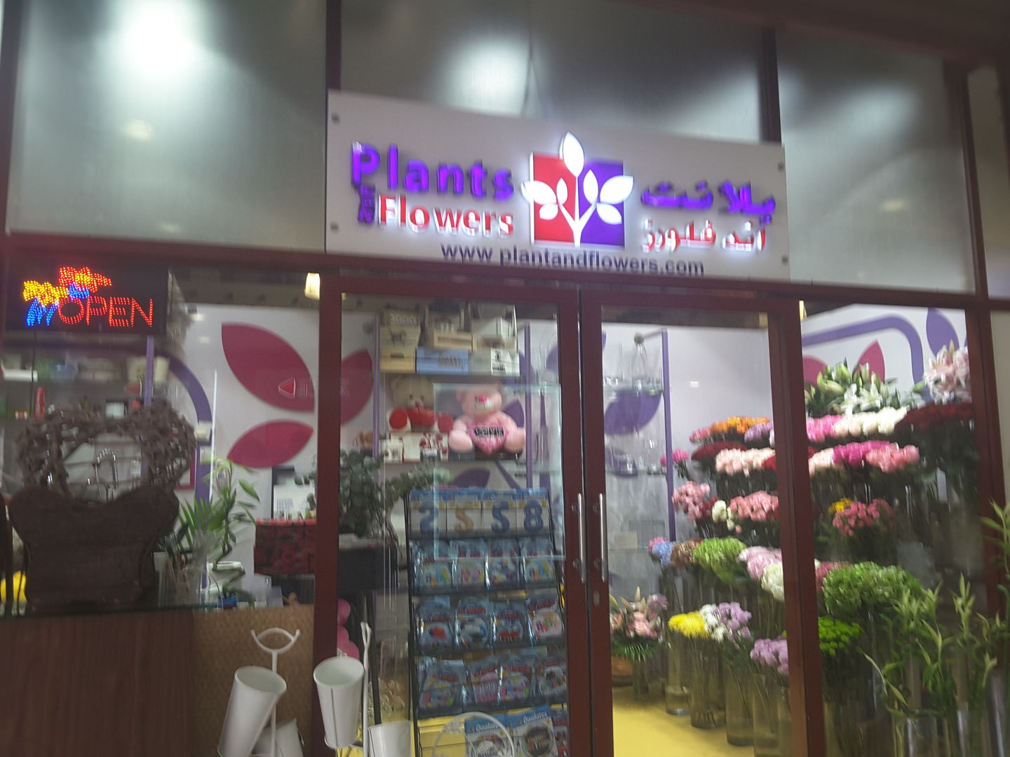 HiDubai-business-plant-and-flowers-animals-pets-plants-plants-gardening-stores-the-greens-al-thanyah-3-dubai-2