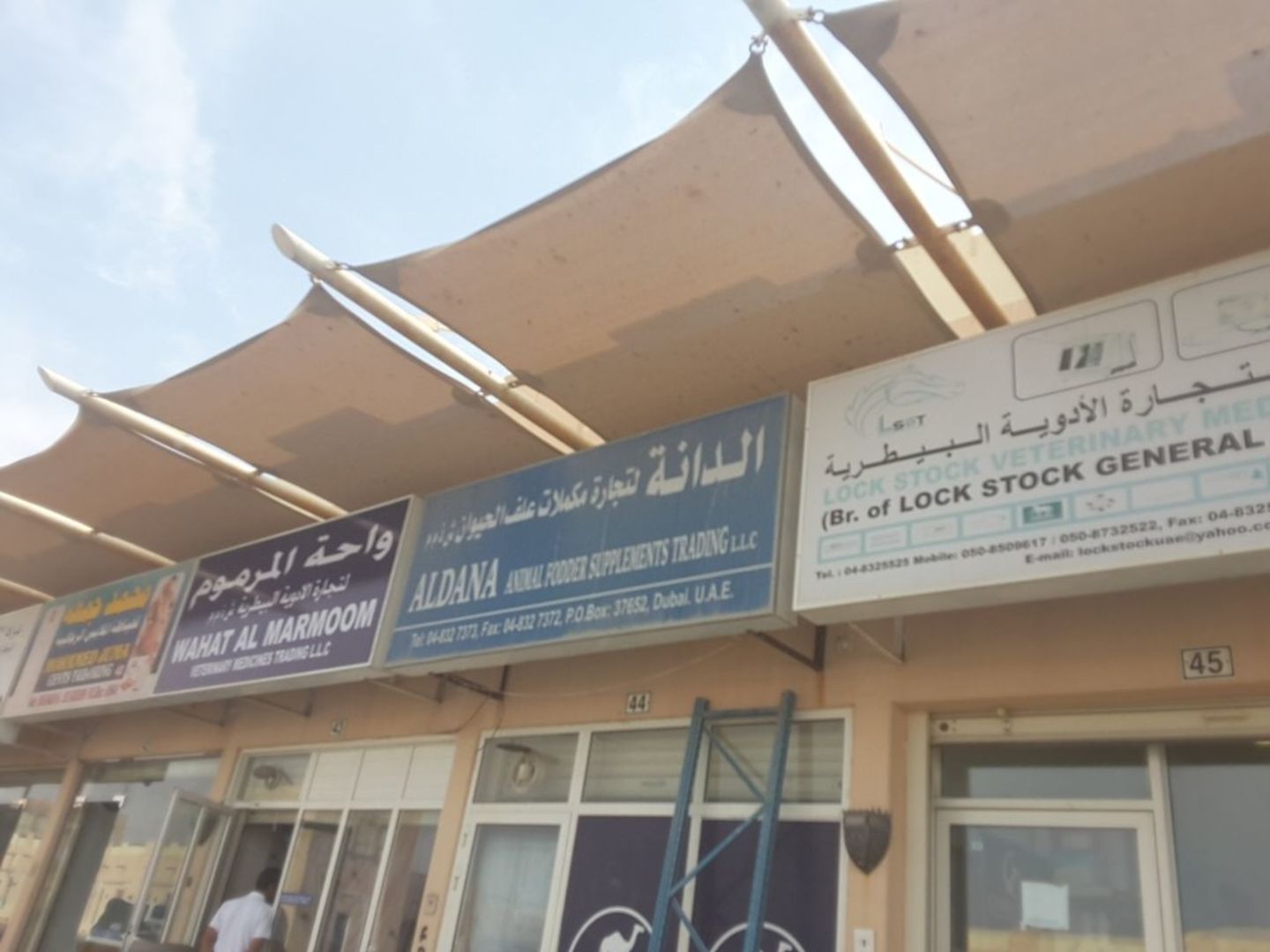 HiDubai-business-wahat-al-marmoom-veterinary-medicines-animals-pets-plants-pet-clinics-vets-margham-dubai-2
