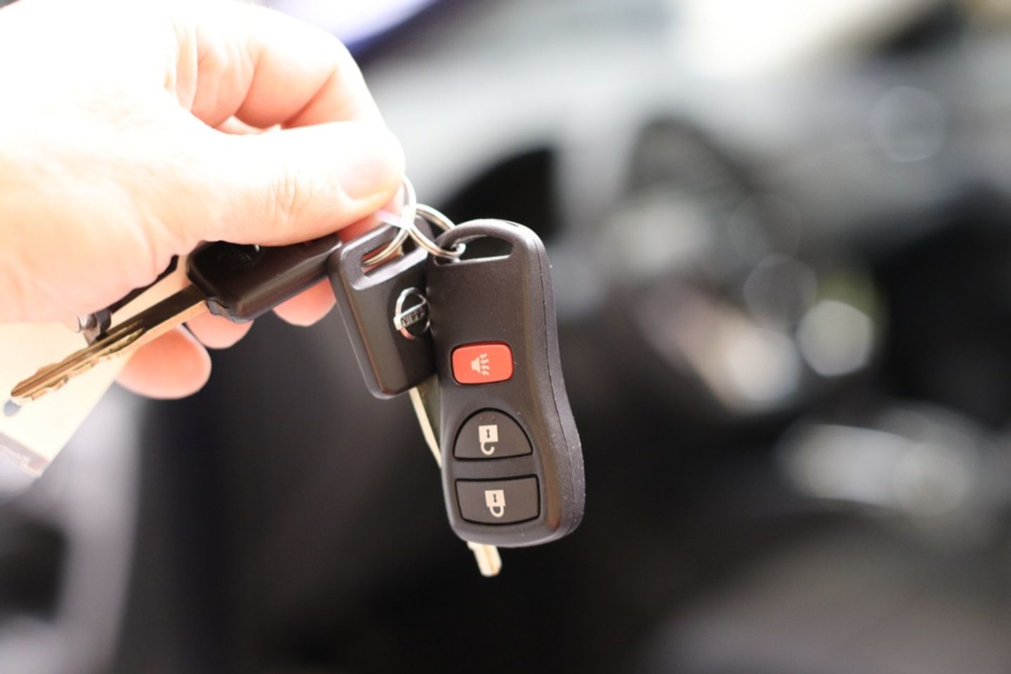 HiDubai-business-oroton-trading-transport-vehicle-services-car-showrooms-service-centres-naif-dubai-2