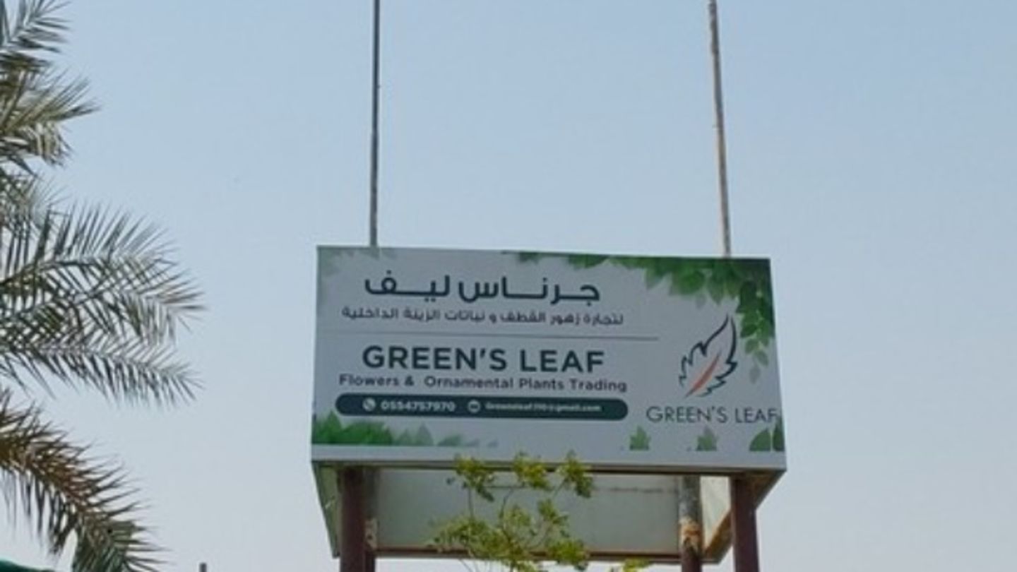 Green's Leaf(Plants & Gardening Stores) in Warsan 3, Dubai HiDubai