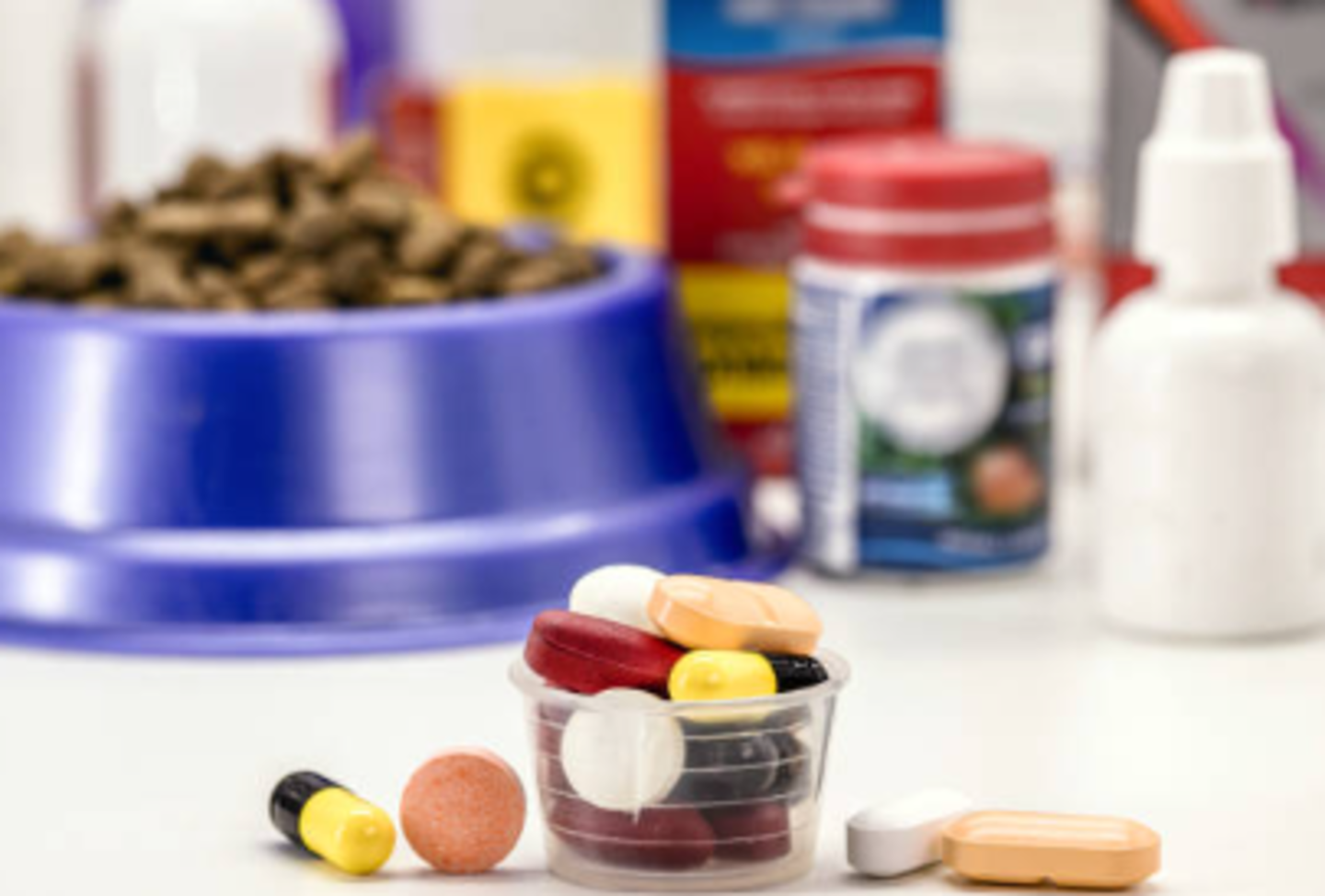 HiDubai-business-delta-vet-veterinary-medicines-trading-animals-pets-plants-pet-clinics-vets-al-qusais-industrial-3-dubai