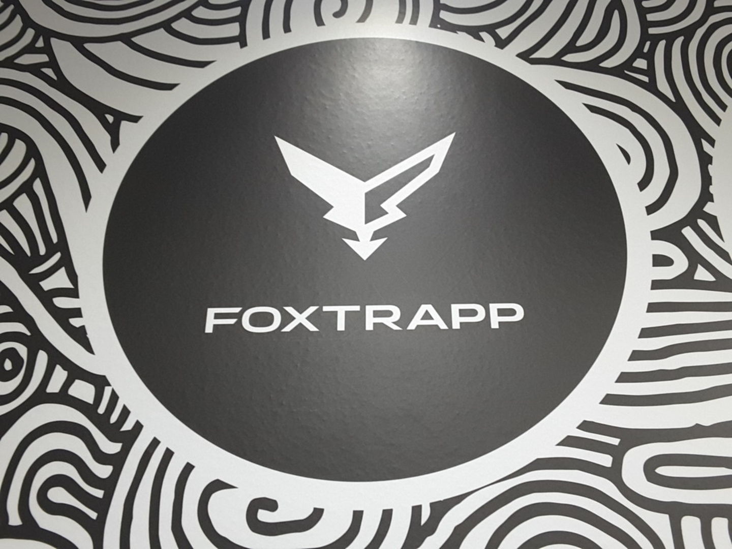 HiDubai-business-foxtrapp-limited-b2b-services-it-services-business-bay-dubai-2