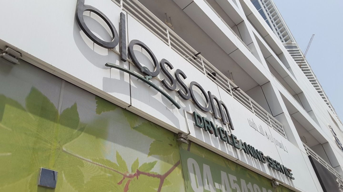 HiDubai-business-blossom-dry-cleaning-services-home-laundry-dubai-marina-marsa-dubai-dubai-2