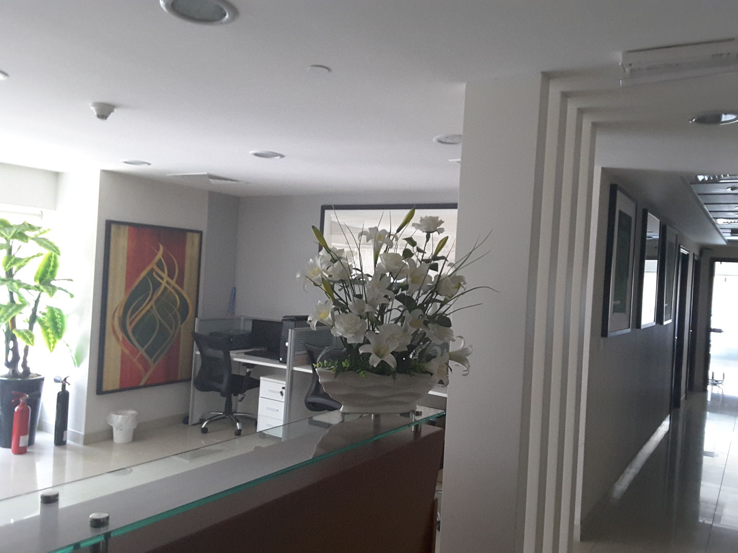 HiDubai-business-hard-work-construction-equipment-and-machine-rental-construction-heavy-industries-heavy-equipment-machinery-tecom-al-thanyah-1-dubai-2