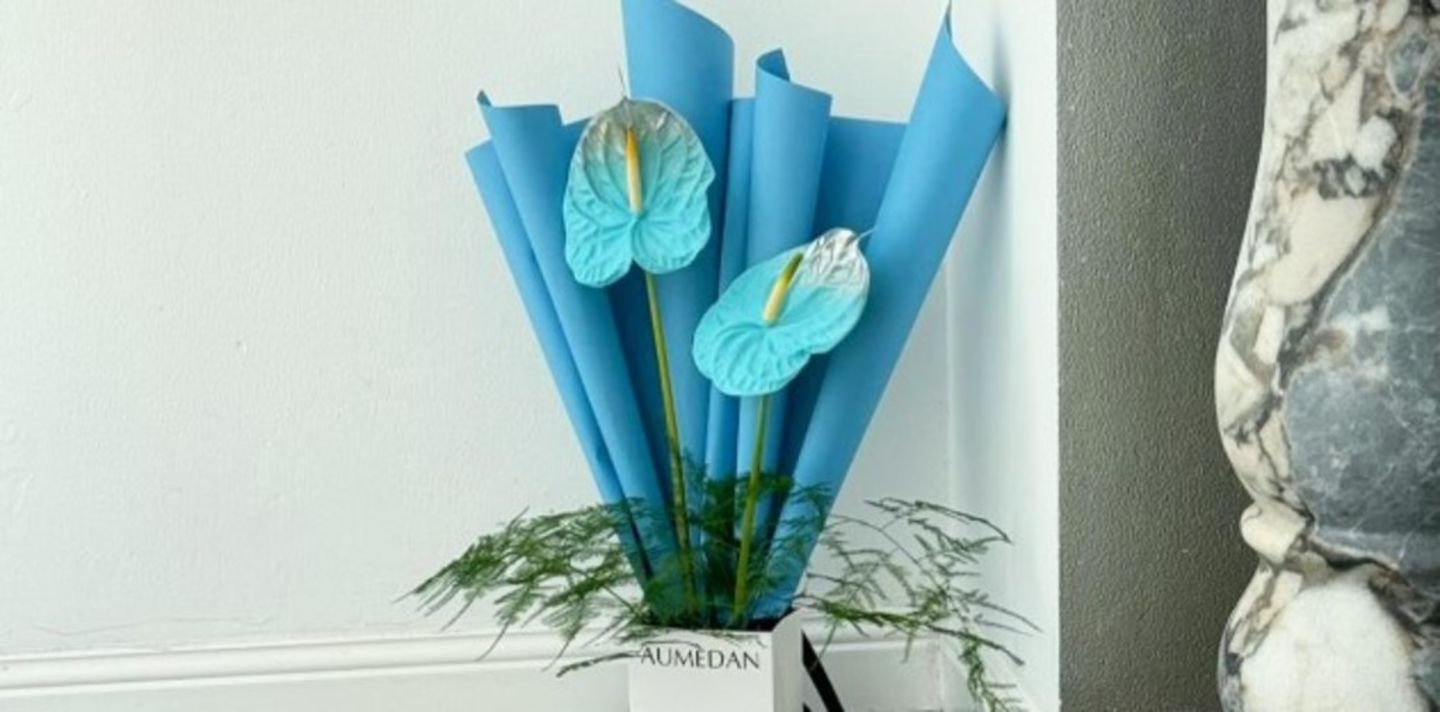 HiDubai-business-aumedan-flowers-animals-pets-plants-plants-gardening-stores-jumeirah-1-dubai