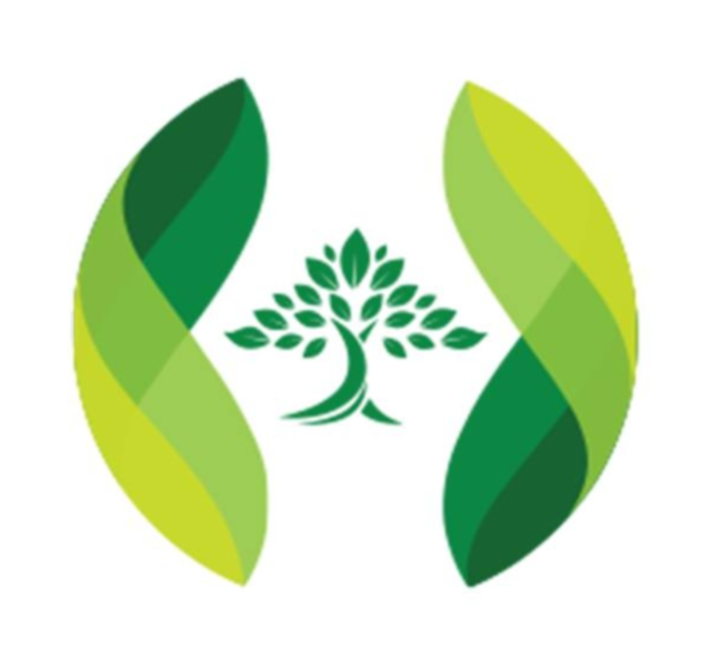 HiDubai-business-anvve-organic-and-natural-store-shopping-supermarkets-hypermarkets-grocery-stores-dubai-festival-city-al-kheeran-1-dubai