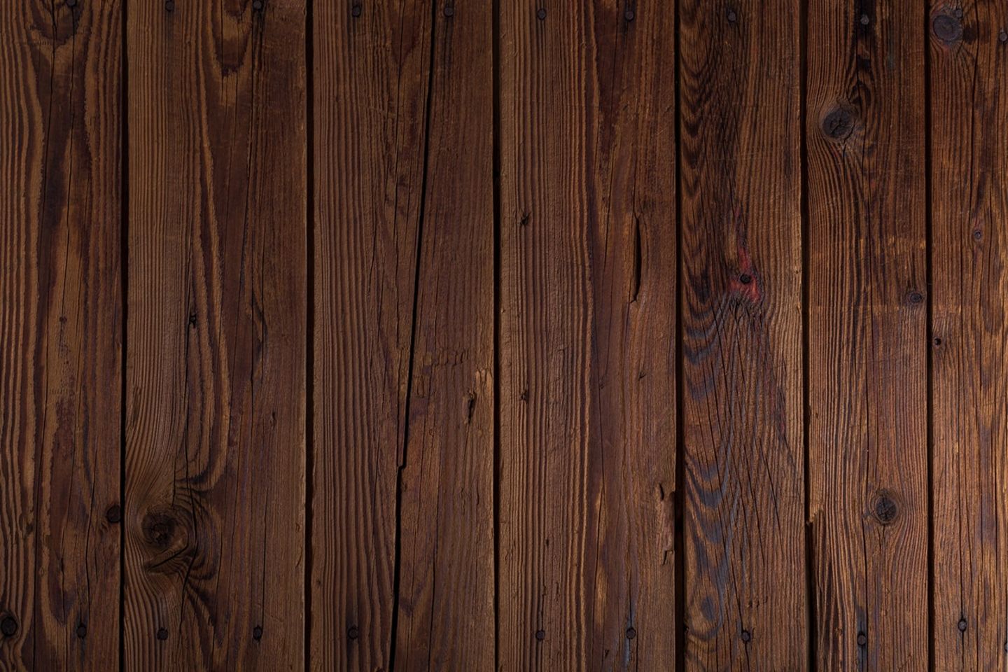 HiDubai-business-european-wood-products-trading-b2b-services-distributors-wholesalers-ras-al-khor-industrial-1-dubai-2