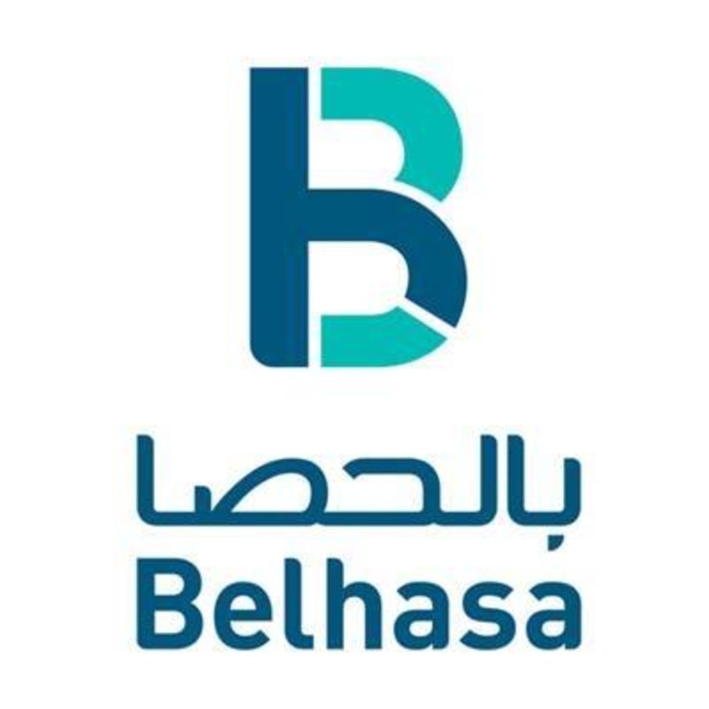 HiDubai-business-belhasa-international-co-b2b-services-business-consultation-services-hor-al-anz-east-dubai