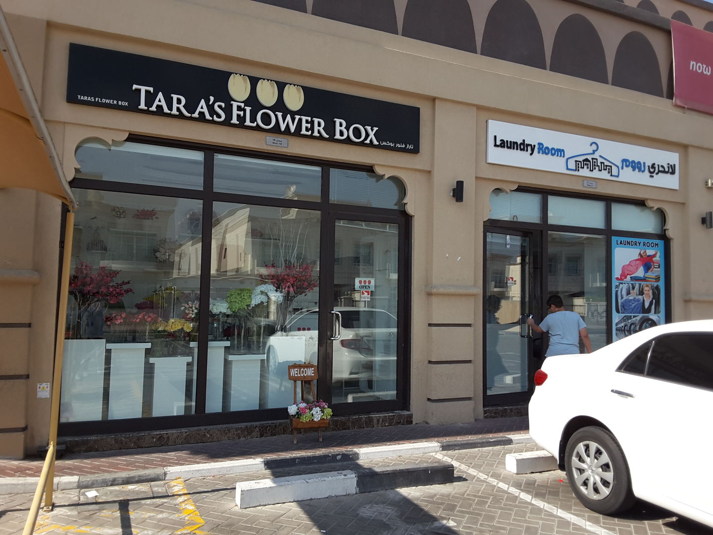 HiDubai-business-taras-flower-box-animals-pets-plants-plants-gardening-stores-al-bada-dubai-2