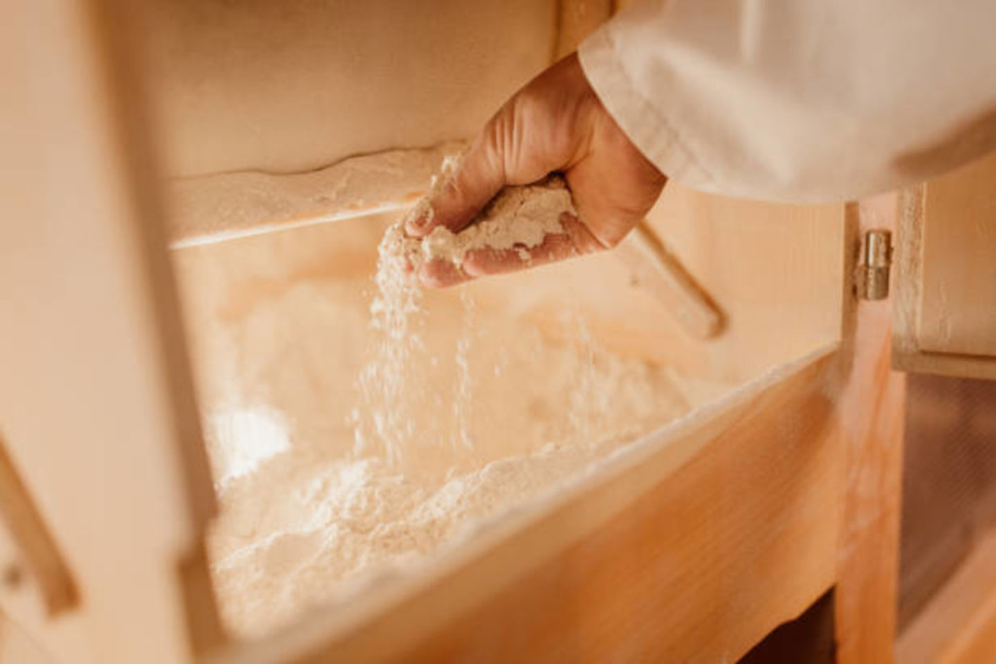 HiDubai-business-coast-flour-mills-b2b-services-food-stuff-trading-jebel-ali-free-zone-mena-jebel-ali-dubai