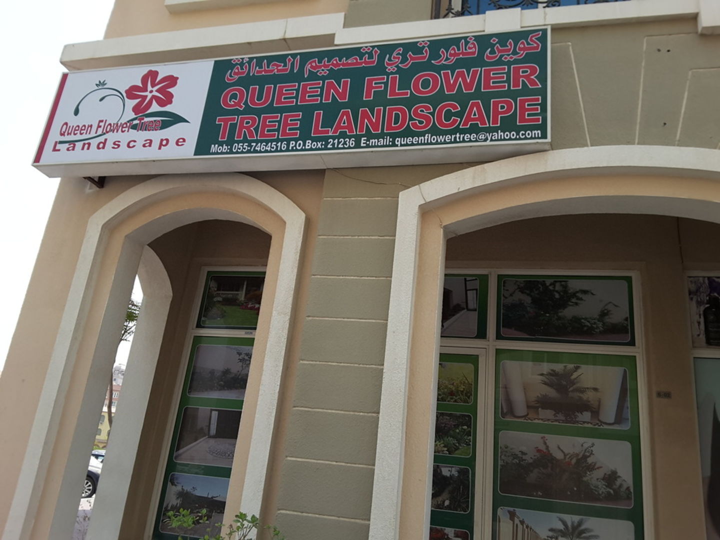 HiDubai-business-queen-flower-tree-landscape-home-gardening-landscaping-international-city-warsan-1-dubai-2