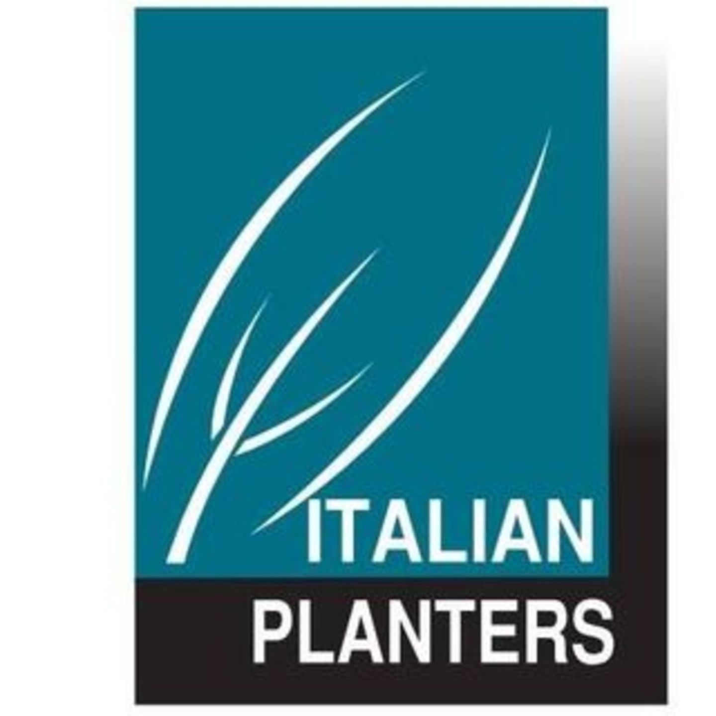 HiDubai-business-italian-planters-home-gardening-landscaping-al-wasl-dubai