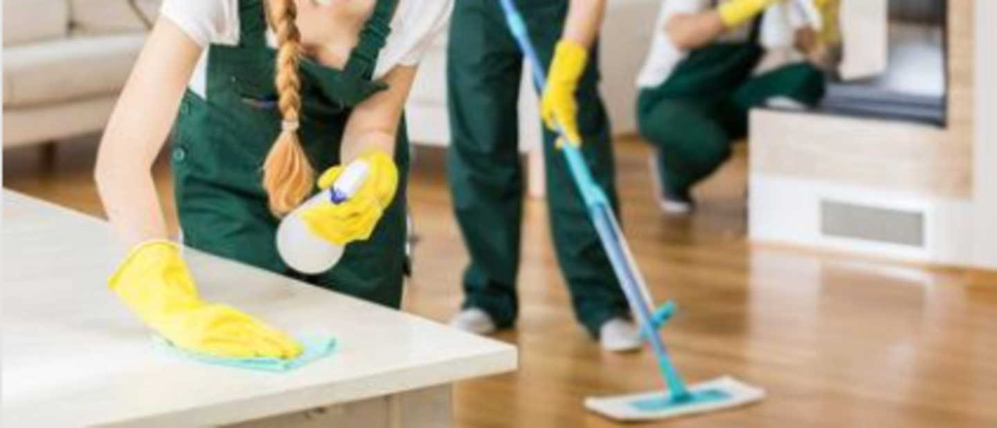 Professional cleaning team at work